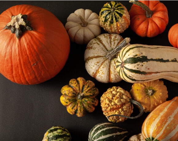 Winter Squash