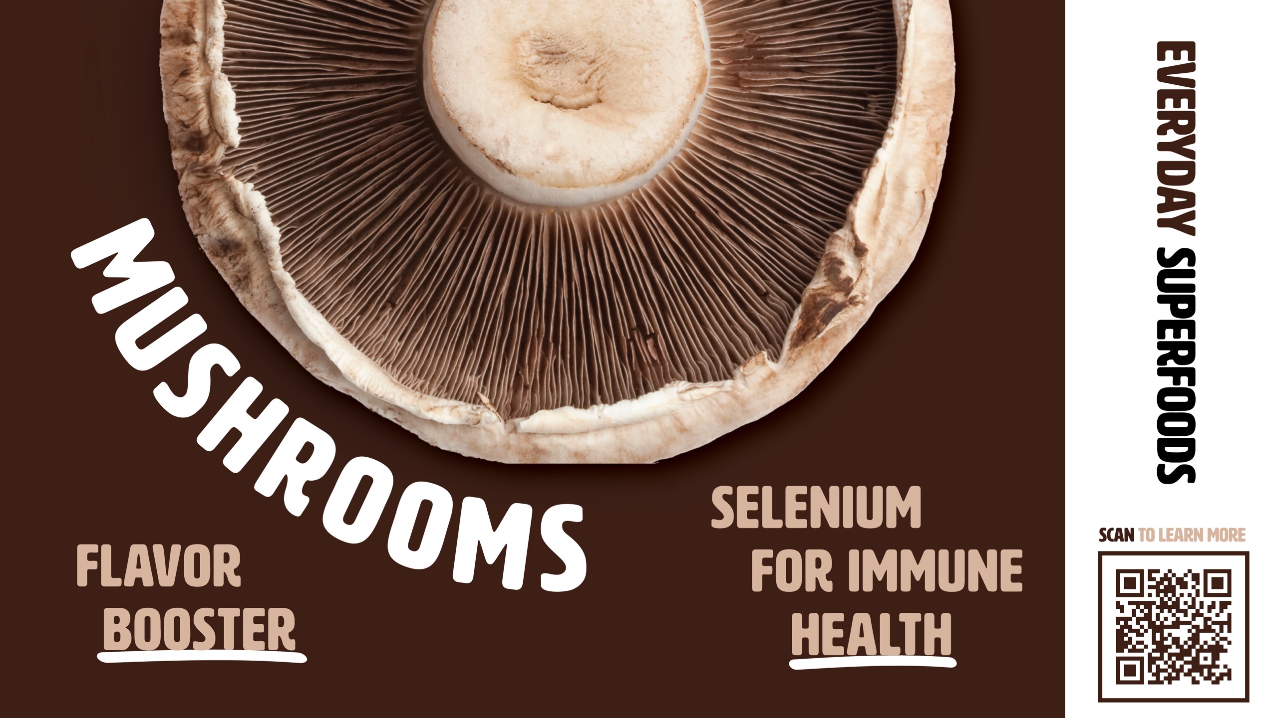 Mushrooms Main Slide