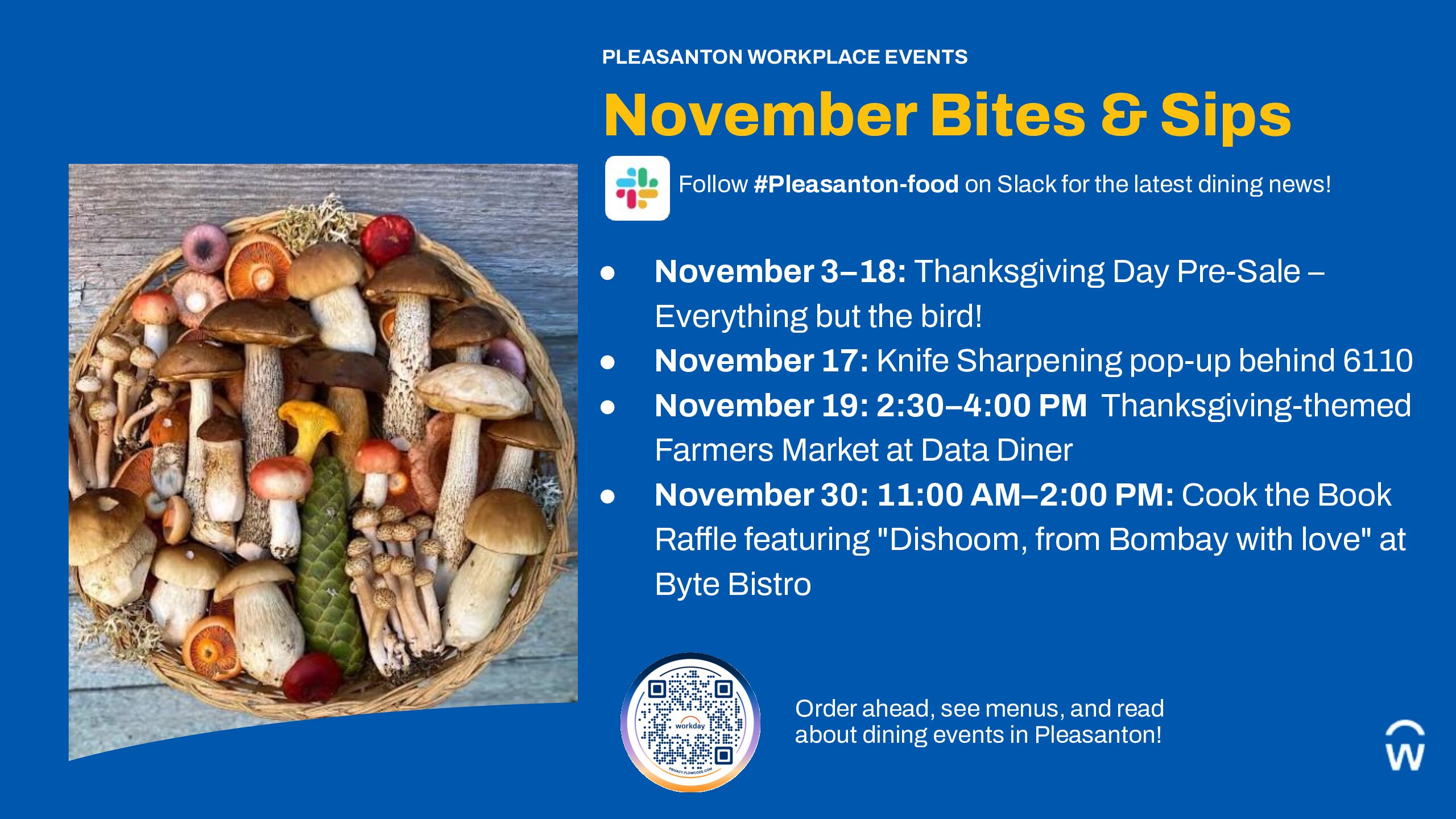 Nov Slide